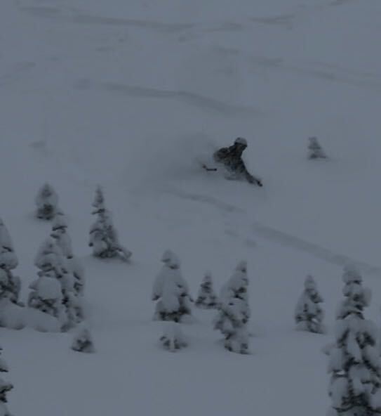 Forecast evaluating.