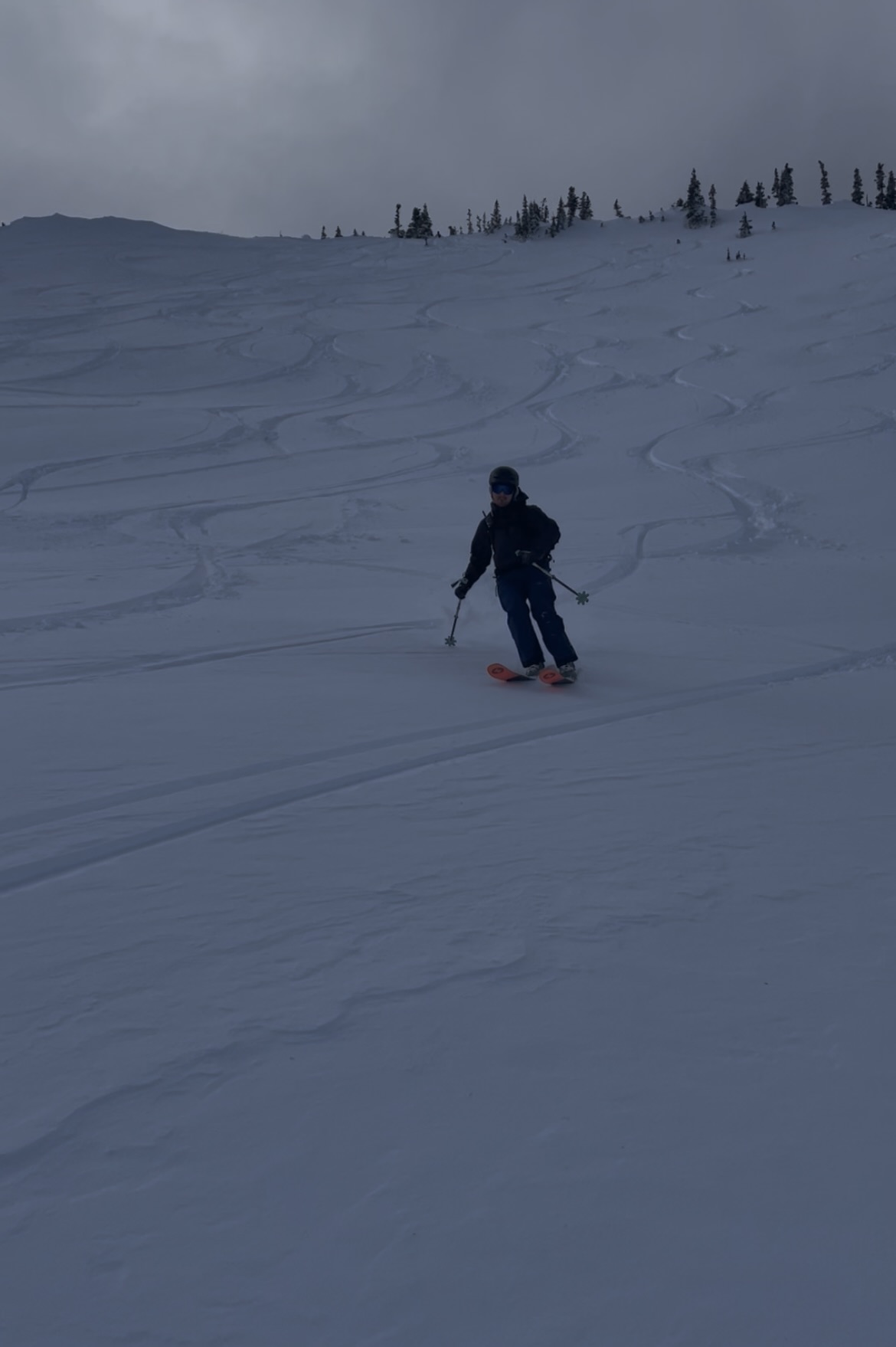 Forecast evaluating.